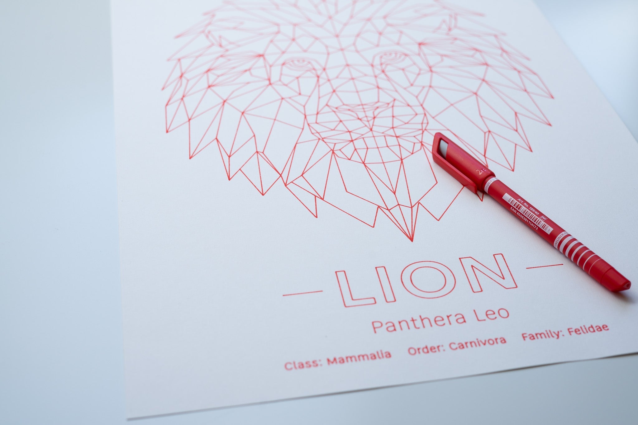 Geometric Animals