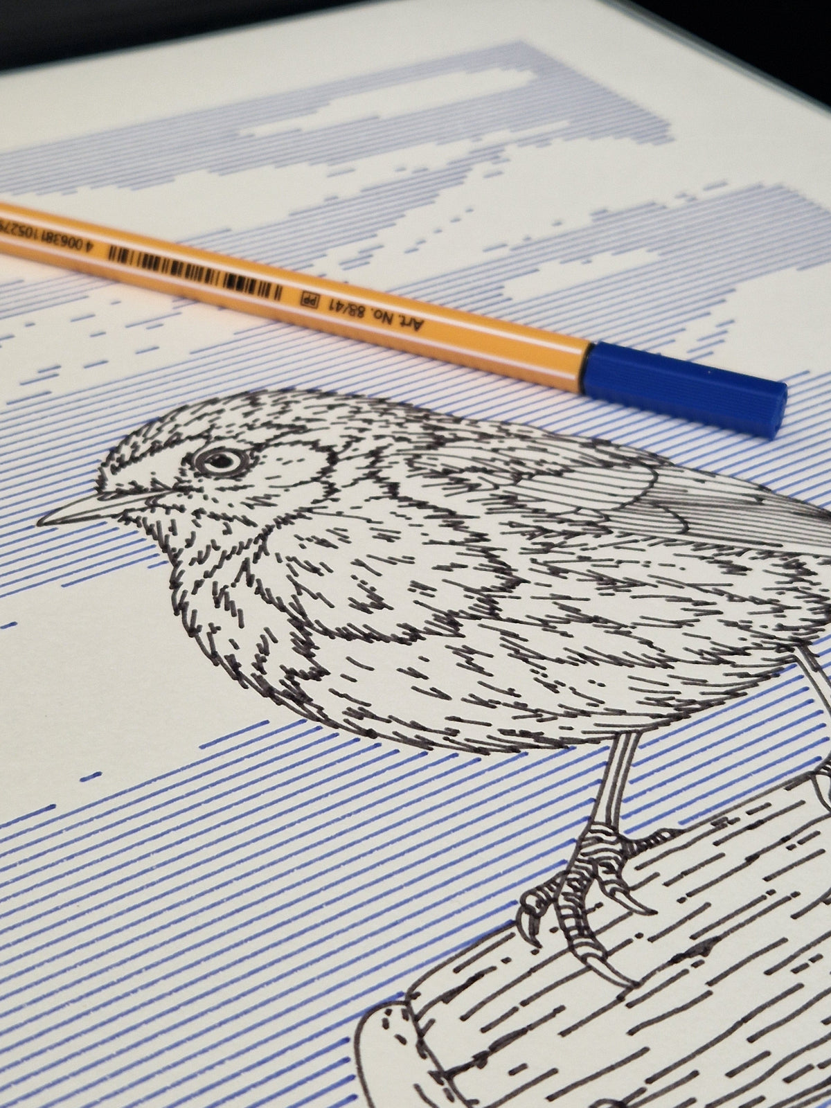 British Birds