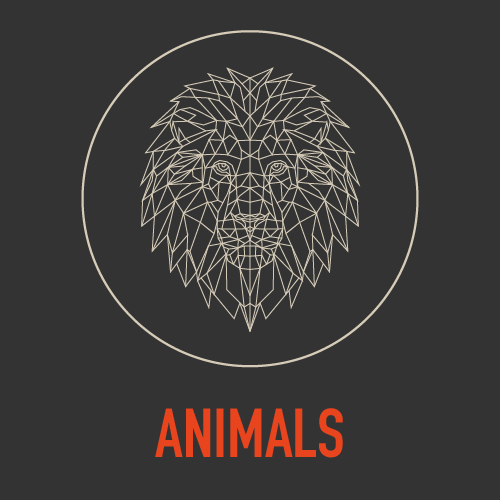Geometric Animals