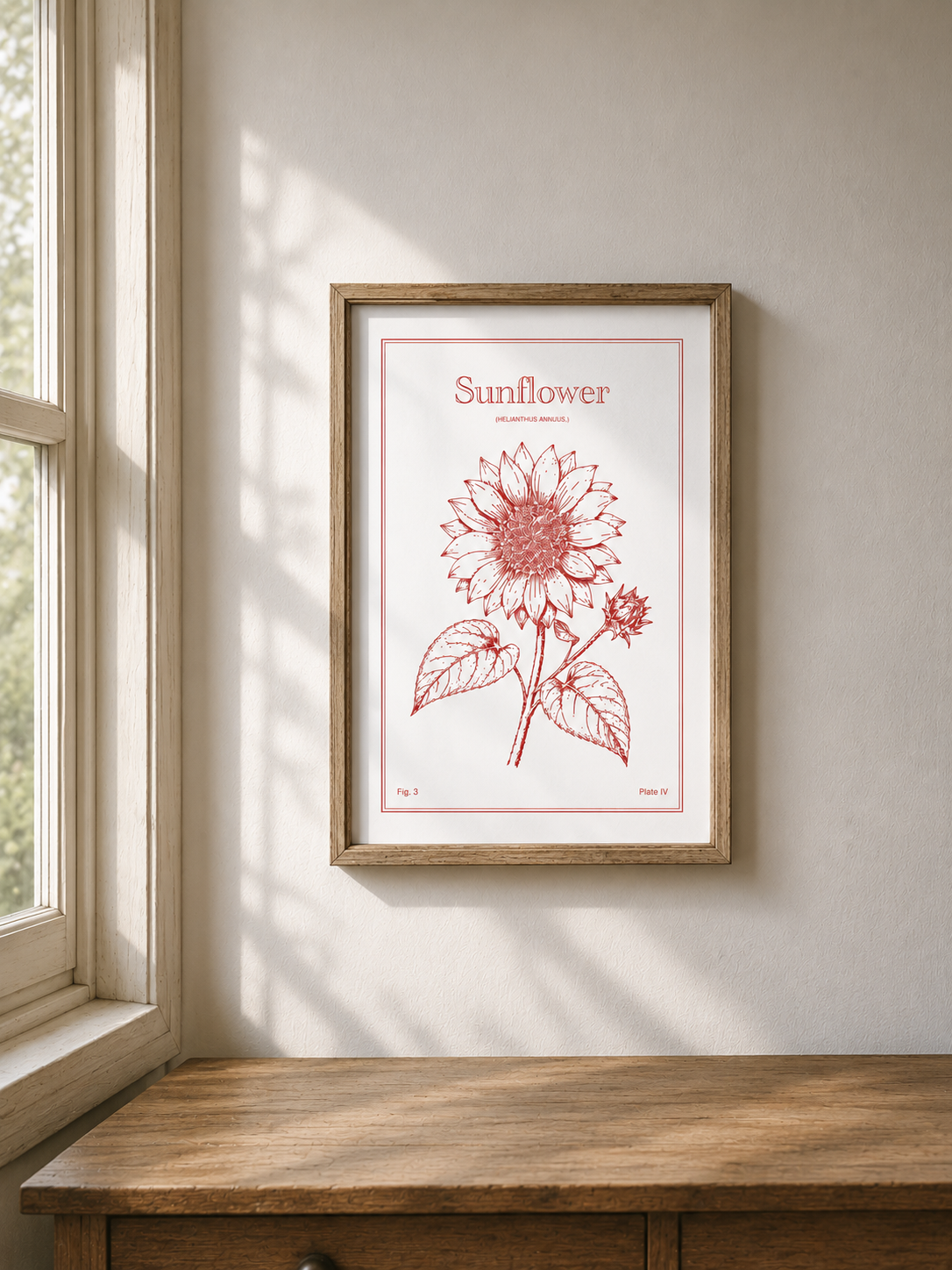 Sunflower Flower - Minimalist Botanical Wall Art