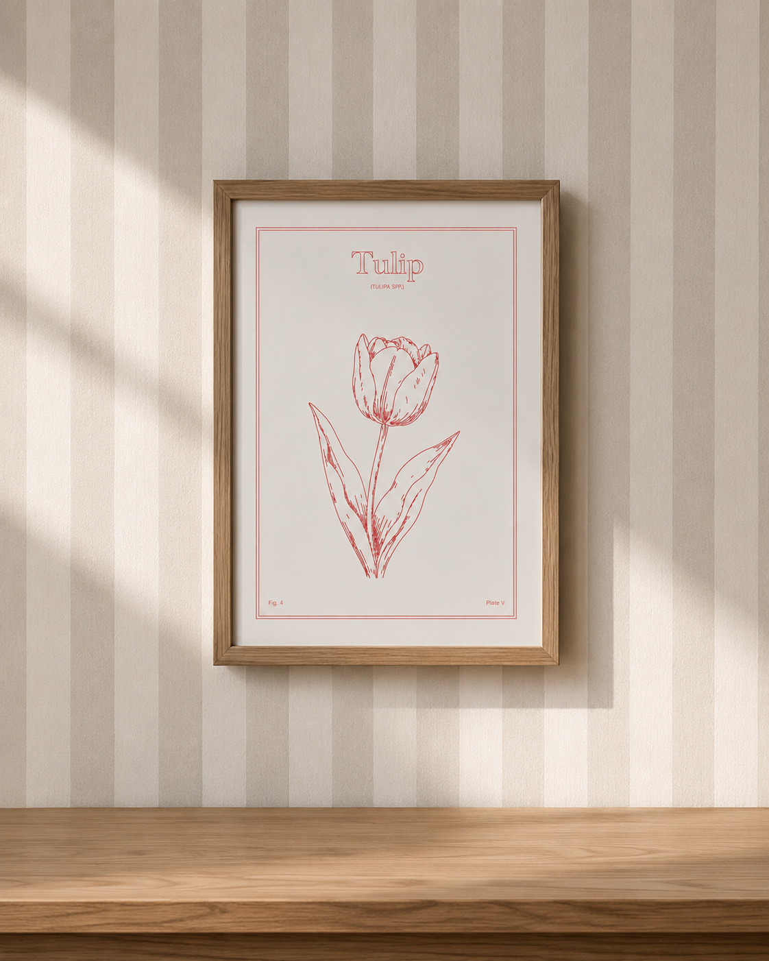 Tulip Flower - Minimalist Botanical Wall Art