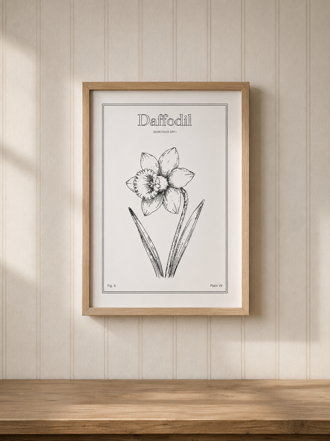 Daffodil Flower - Minimalist Botanical Wall Art