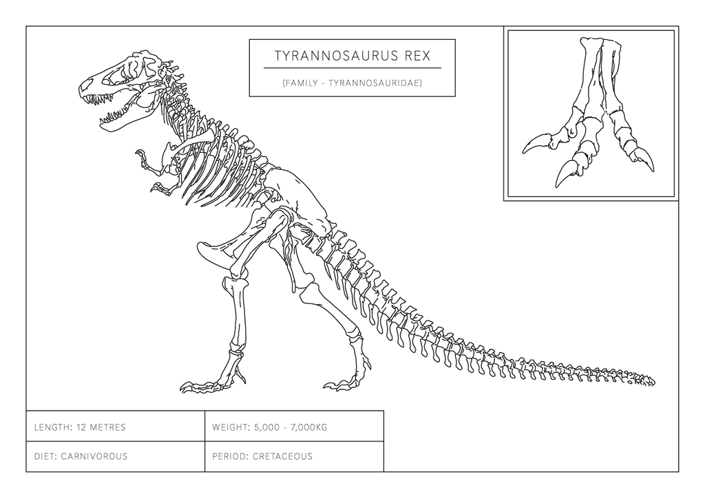Tyrannosaurus Rex | Dinosaur Wall Art