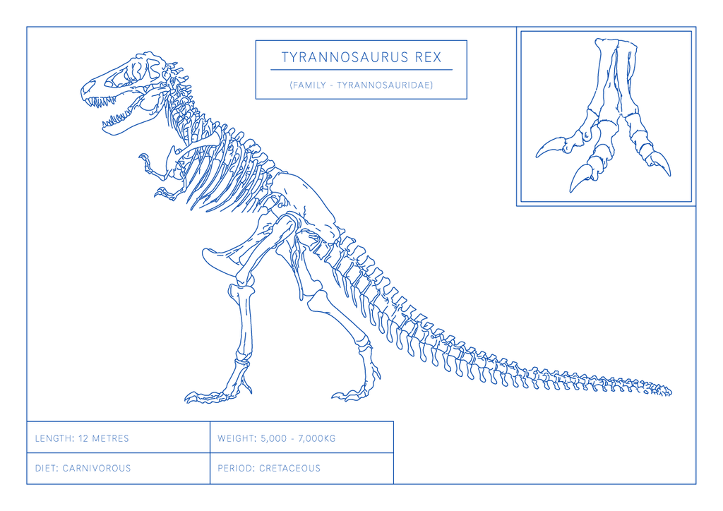 Tyrannosaurus Rex | Dinosaur Wall Art