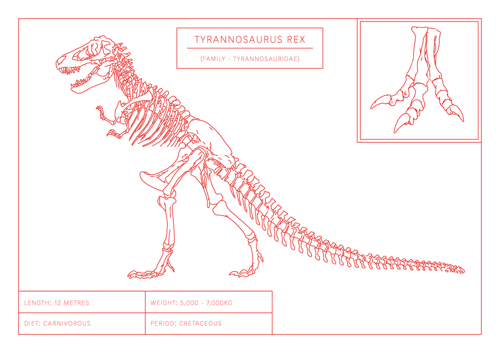 Tyrannosaurus Rex | Dinosaur Wall Art