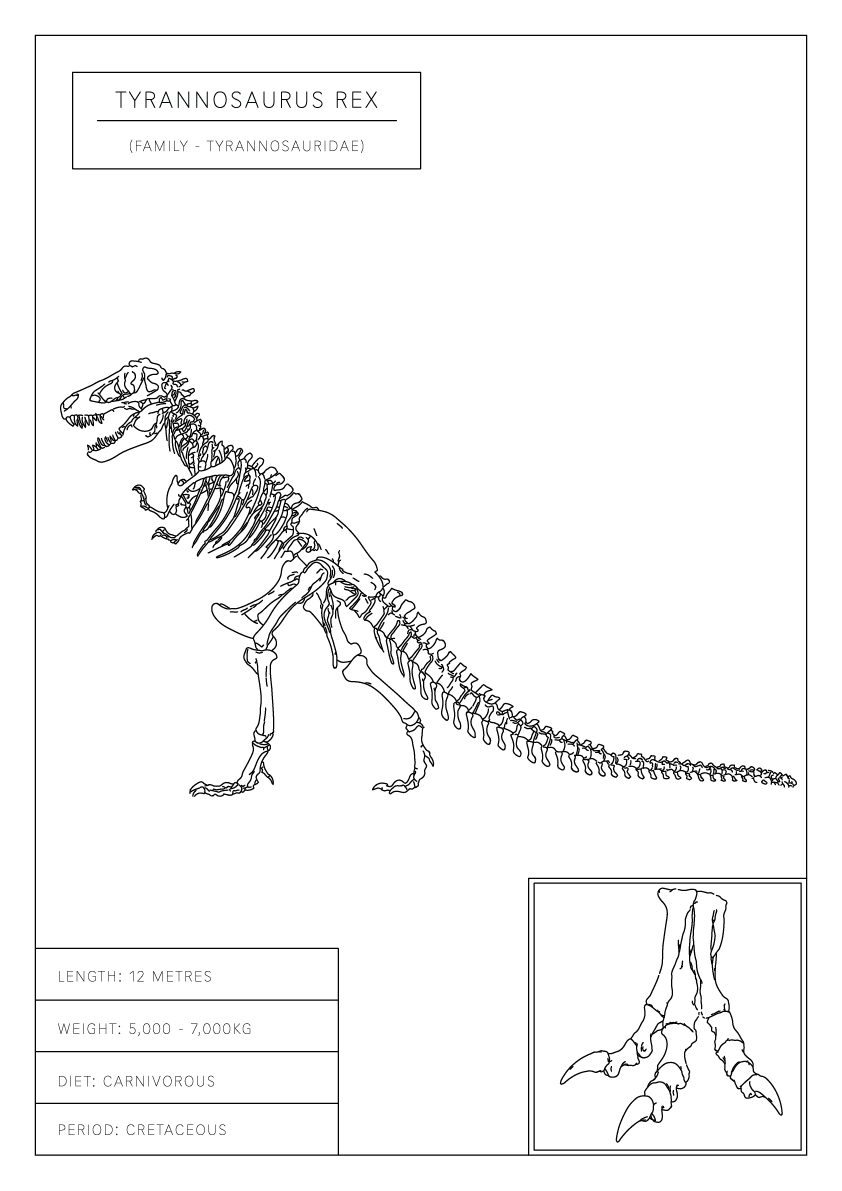 Tyrannosaurus Rex | Dinosaur Wall Art