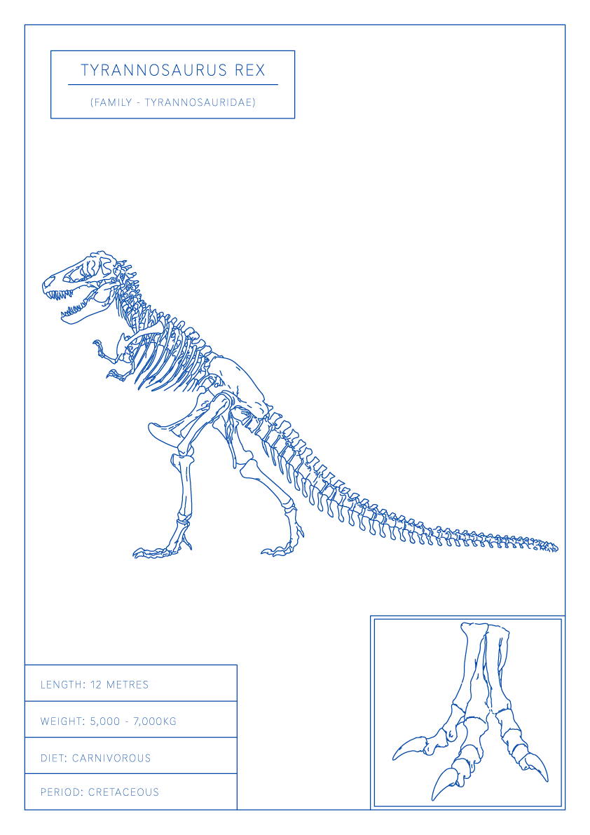 Tyrannosaurus Rex | Dinosaur Wall Art