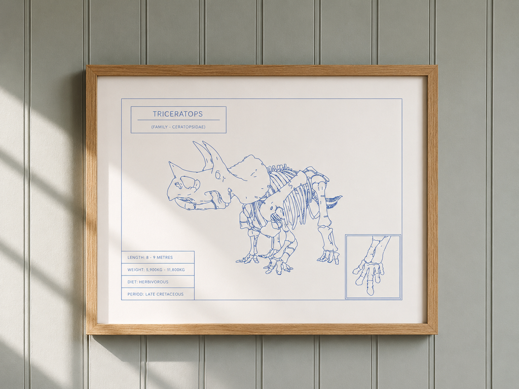 Triceratops | Dinosaur Wall Art