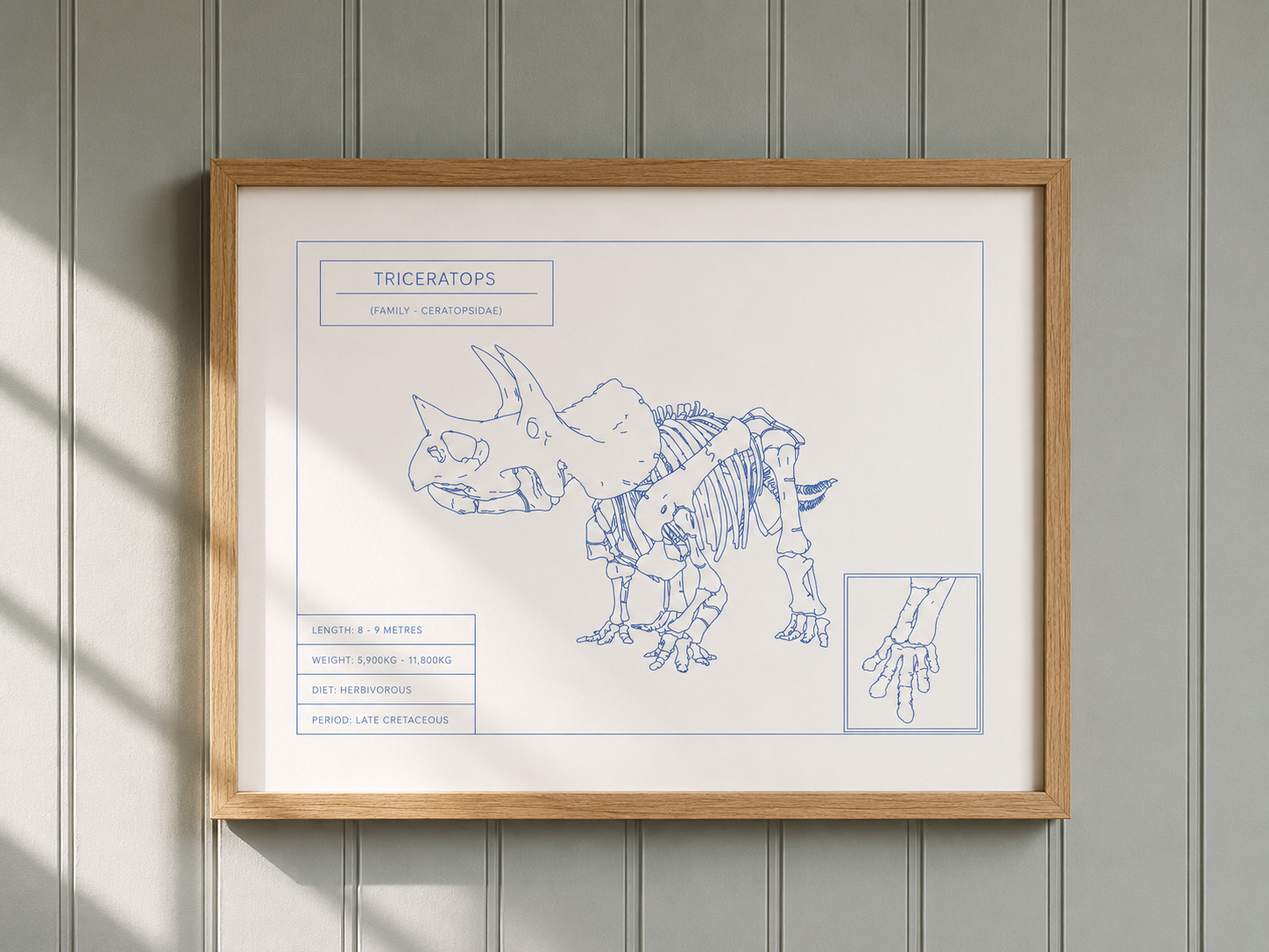 Triceratops | Dinosaur Wall Art