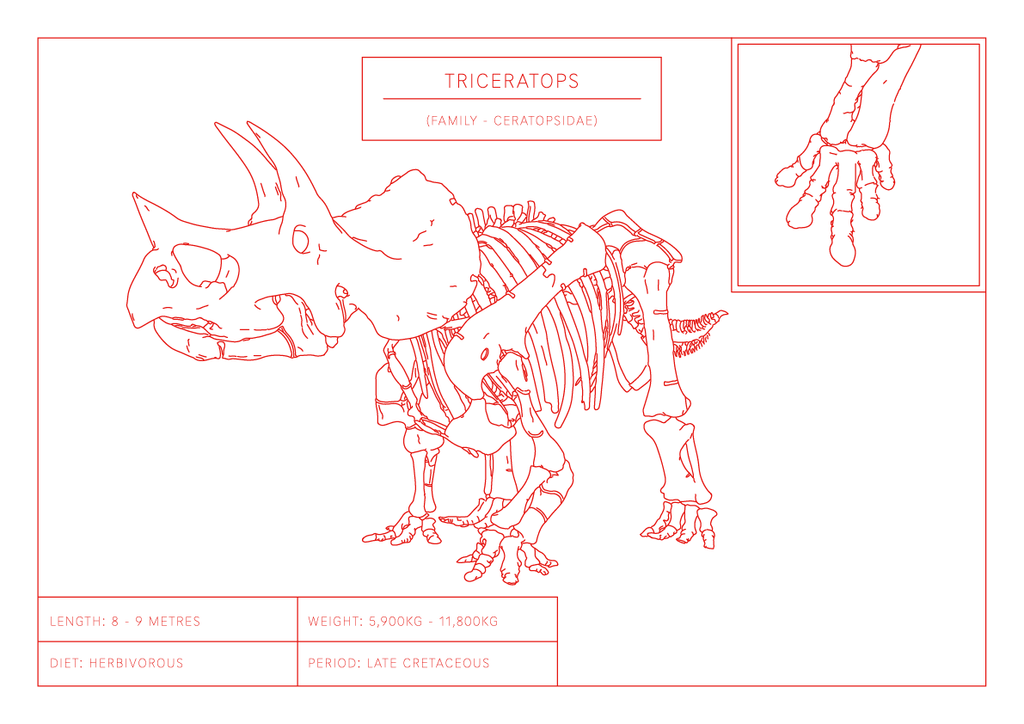 Triceratops | Dinosaur Wall Art