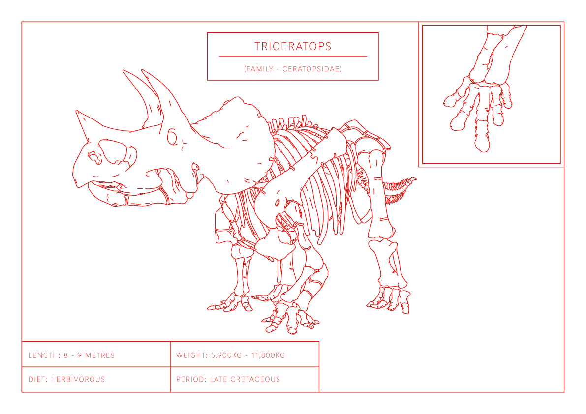 Triceratops | Dinosaur Wall Art