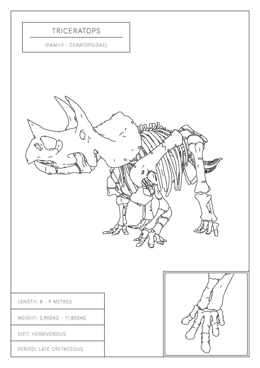 Triceratops | Dinosaur Wall Art