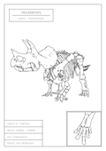 Triceratops | Dinosaur Wall Art
