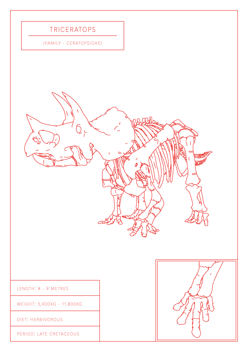 Triceratops | Dinosaur Wall Art