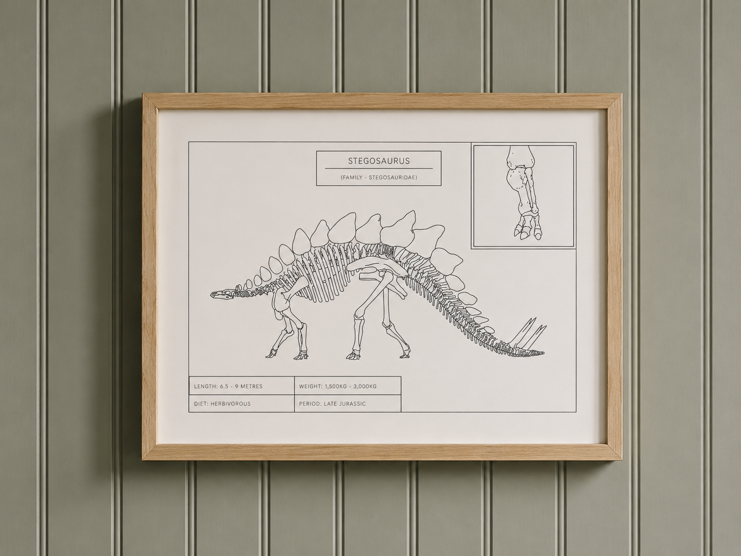 Stegosaurus | Dinosaur Wall Art