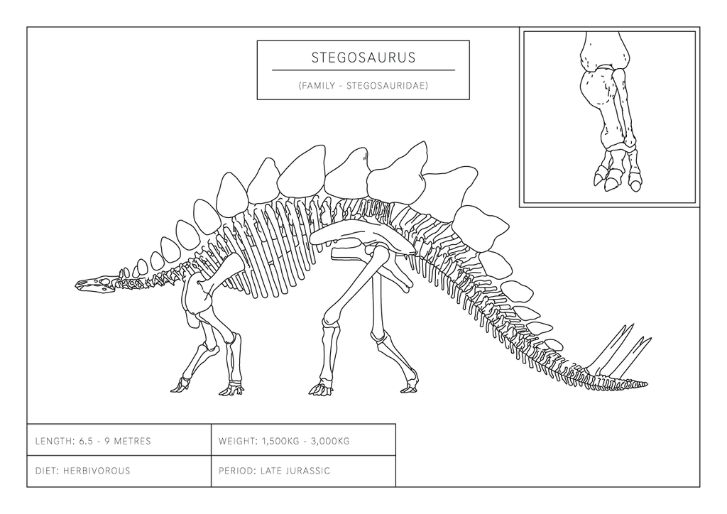 Stegosaurus | Dinosaur Wall Art