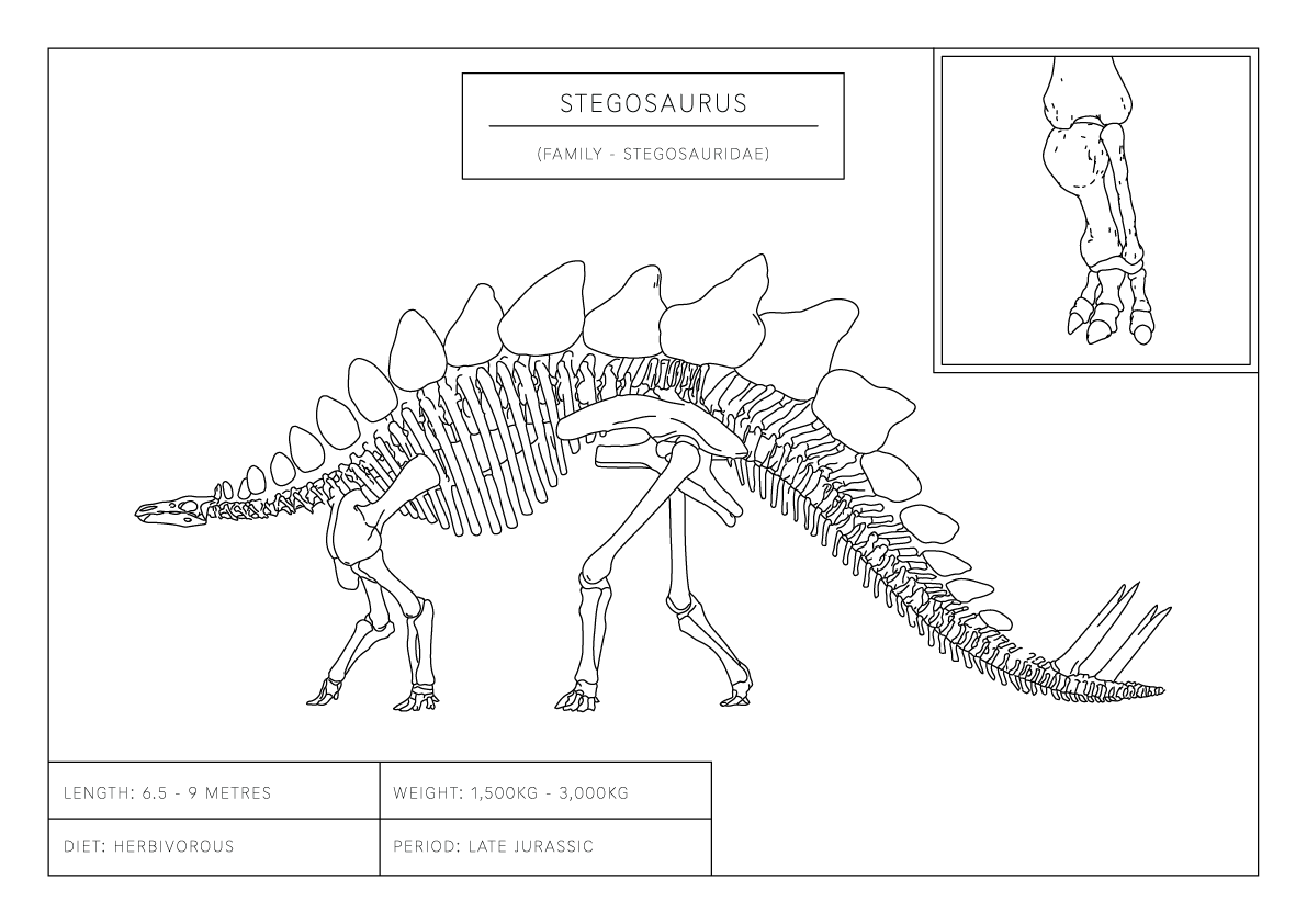 Stegosaurus | Dinosaur Wall Art