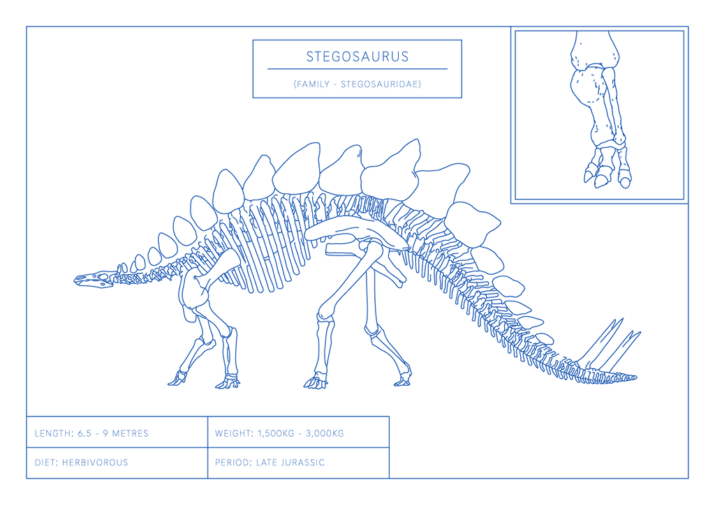 Stegosaurus | Dinosaur Wall Art