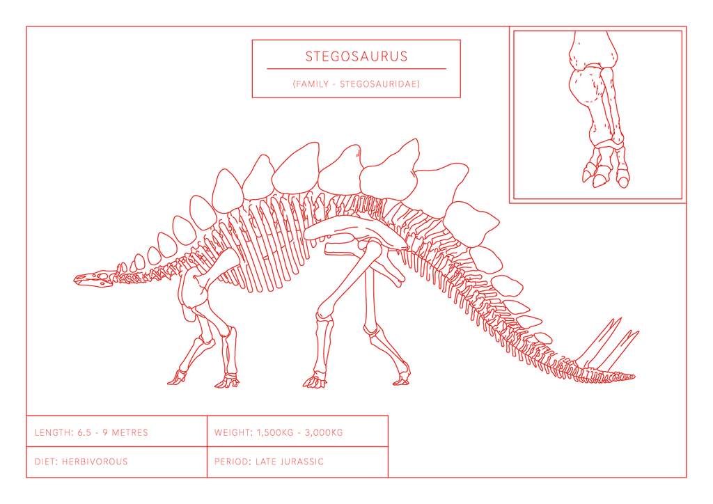 Stegosaurus | Dinosaur Wall Art