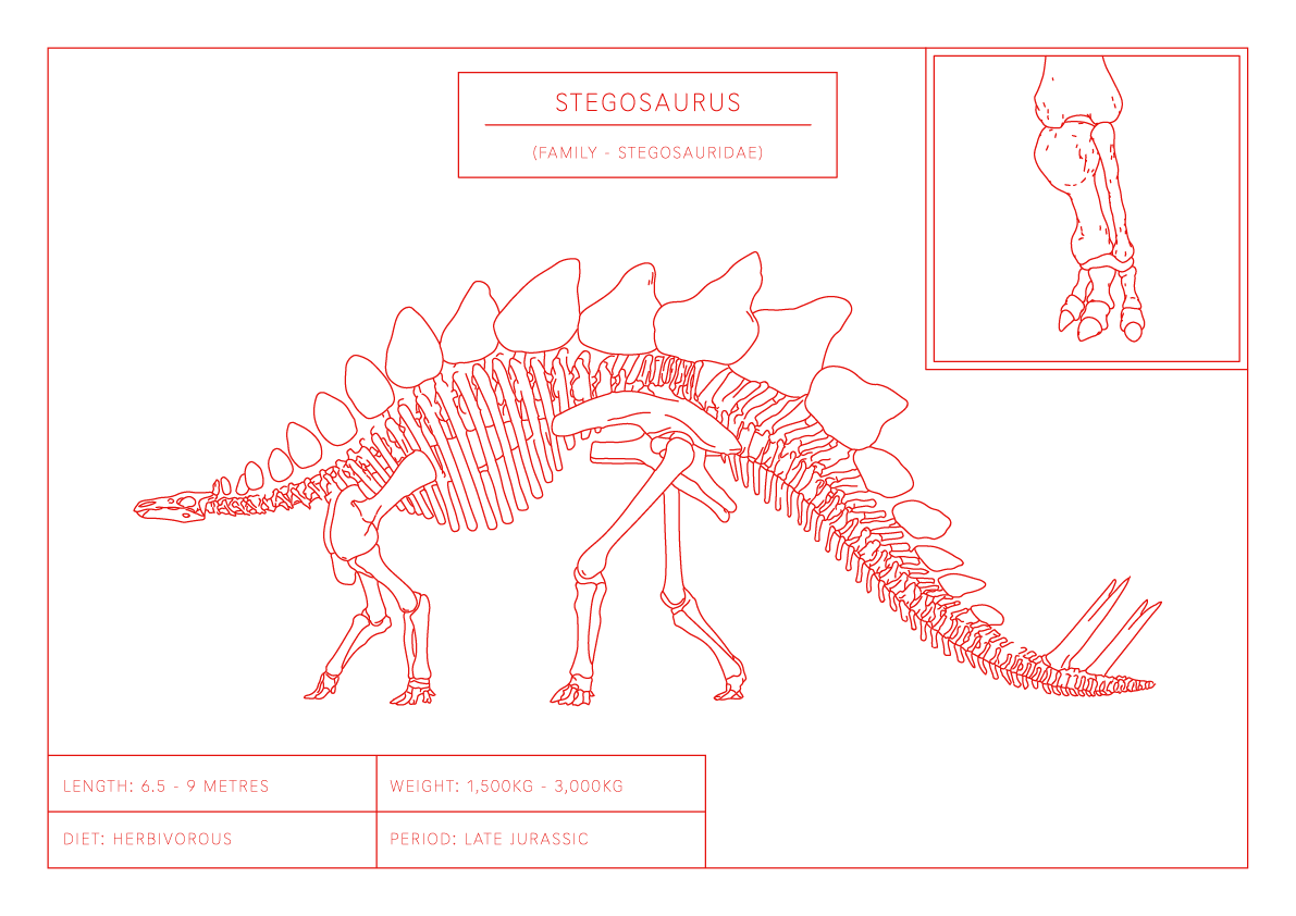 Stegosaurus | Dinosaur Wall Art