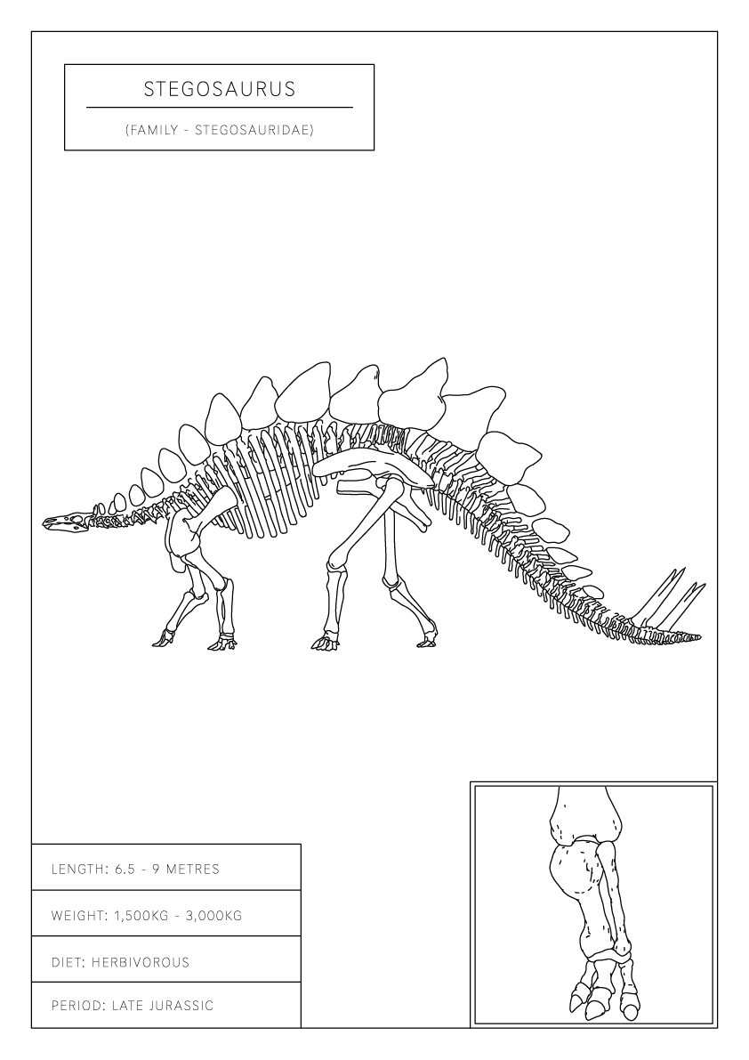 Stegosaurus | Dinosaur Wall Art
