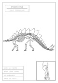 Stegosaurus | Dinosaur Wall Art