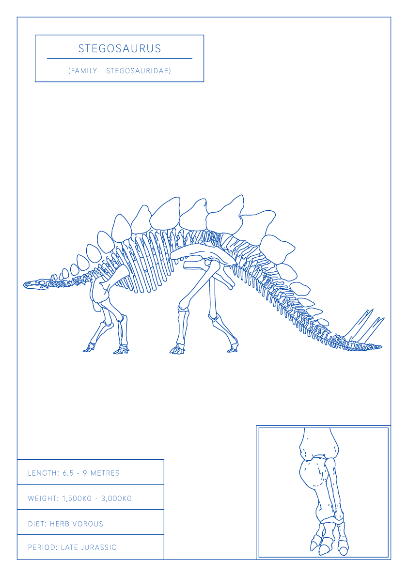 Stegosaurus | Dinosaur Wall Art