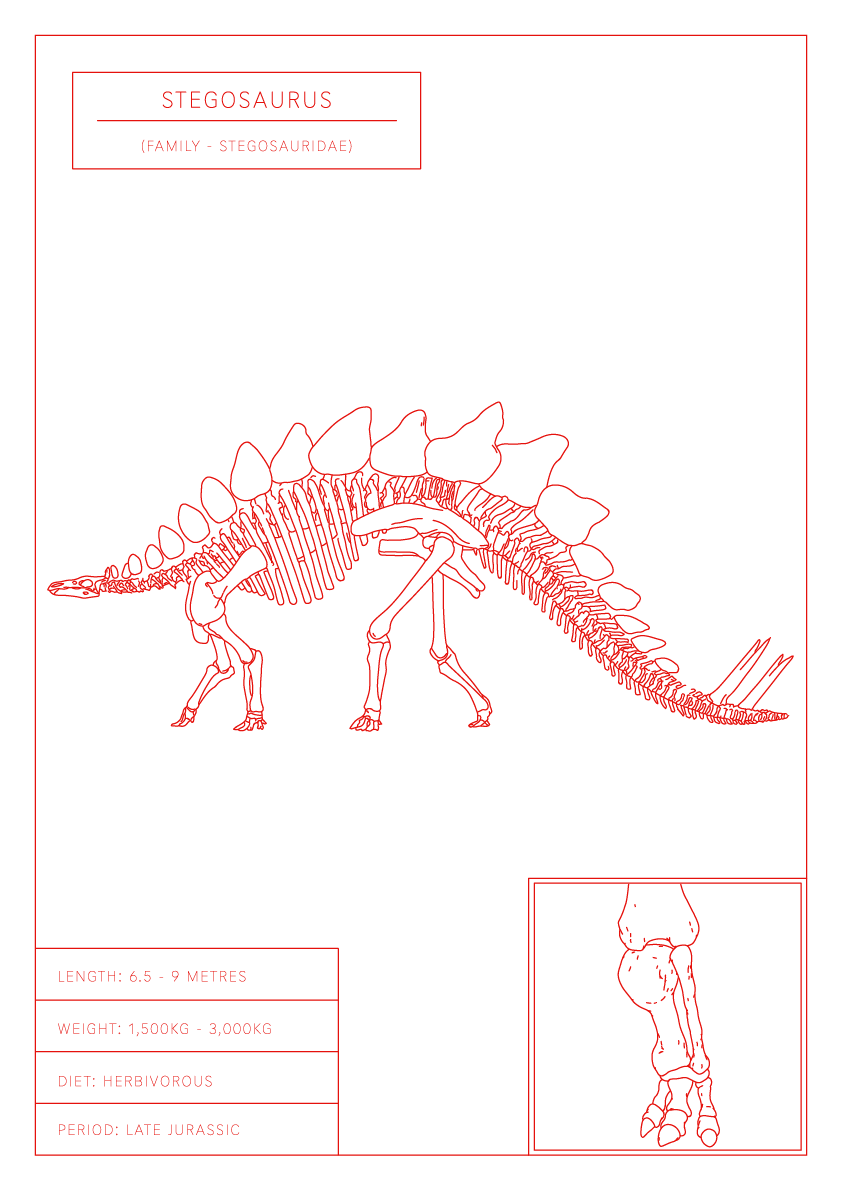 Stegosaurus | Dinosaur Wall Art