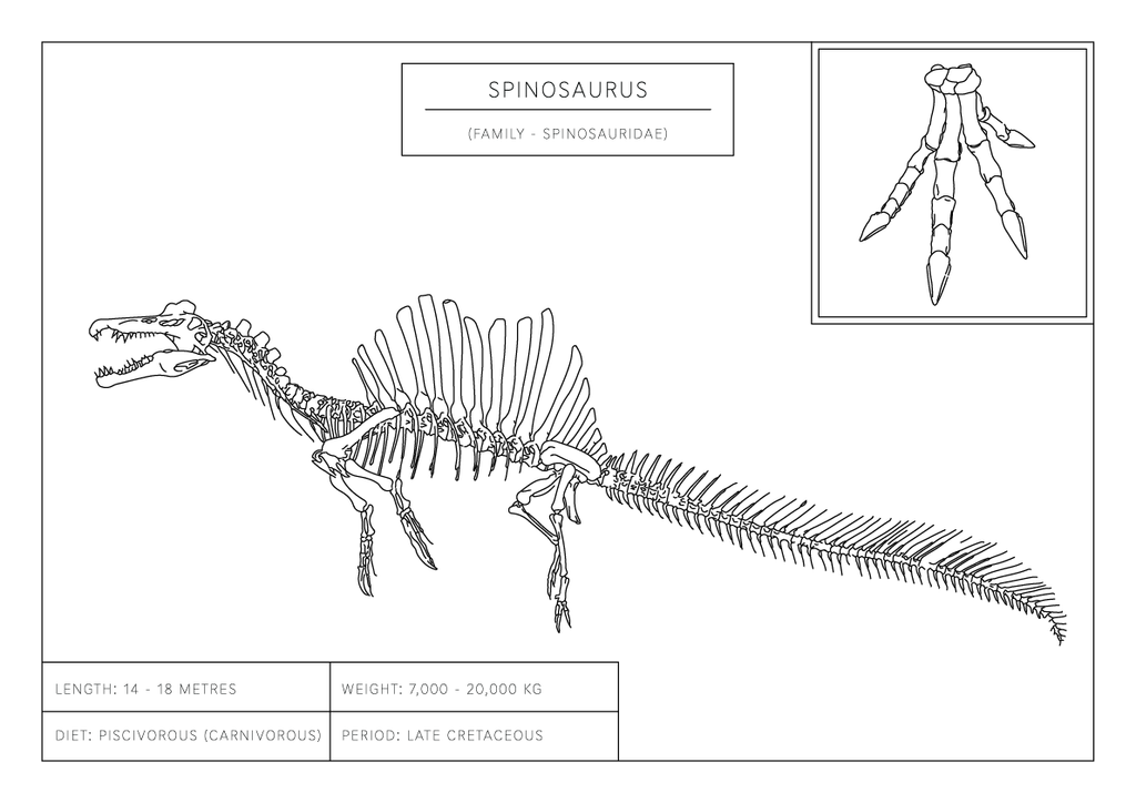 Spinosaurus | Dinosaur Wall Art