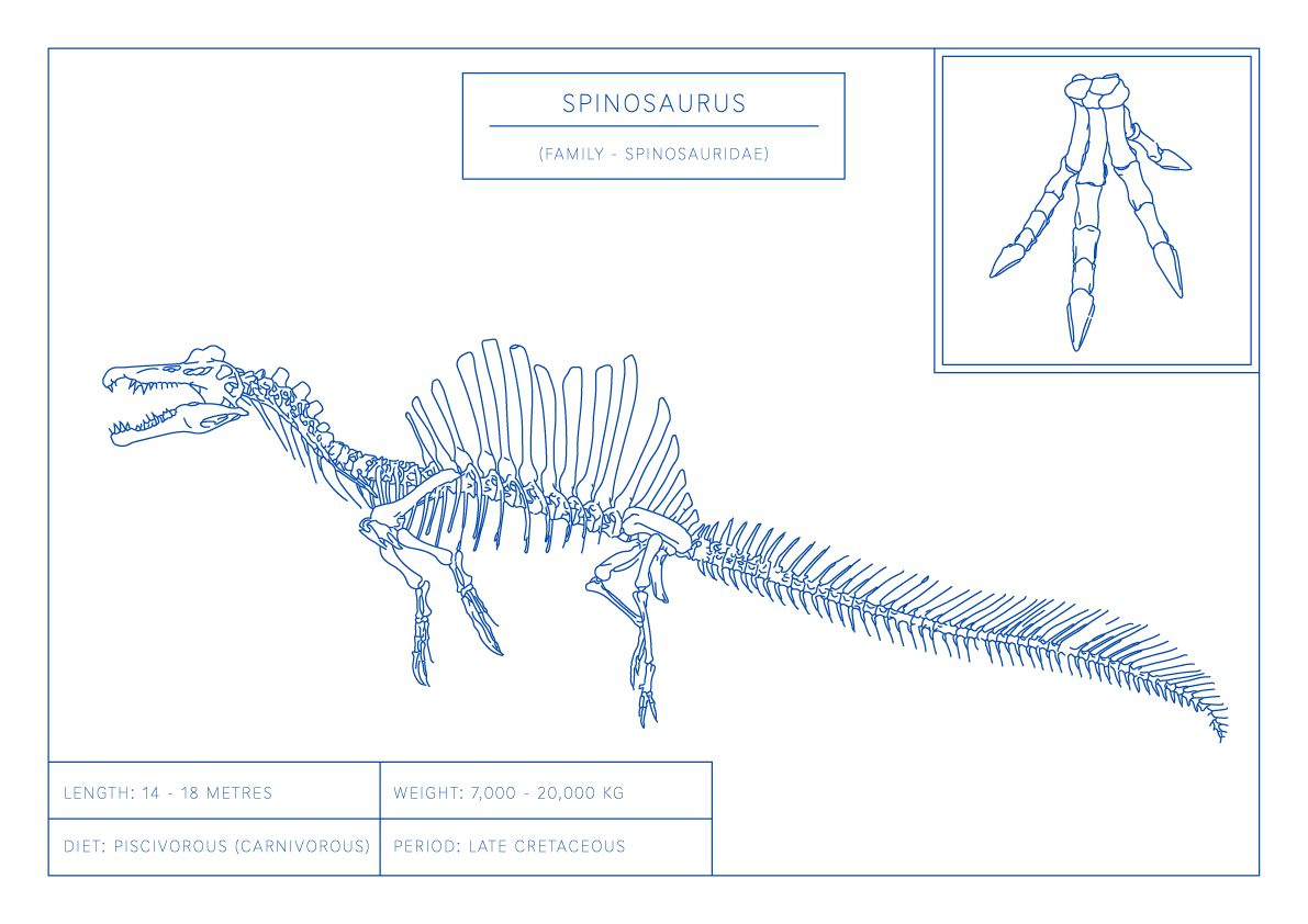 Spinosaurus | Dinosaur Wall Art