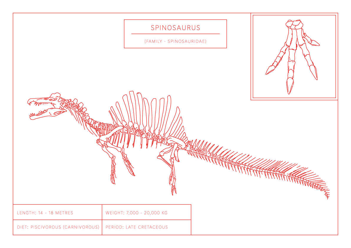 Spinosaurus | Dinosaur Wall Art