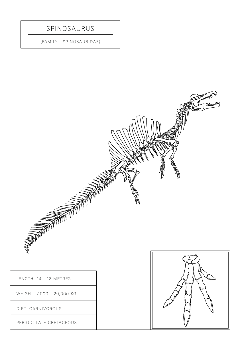 Spinosaurus | Dinosaur Wall Art