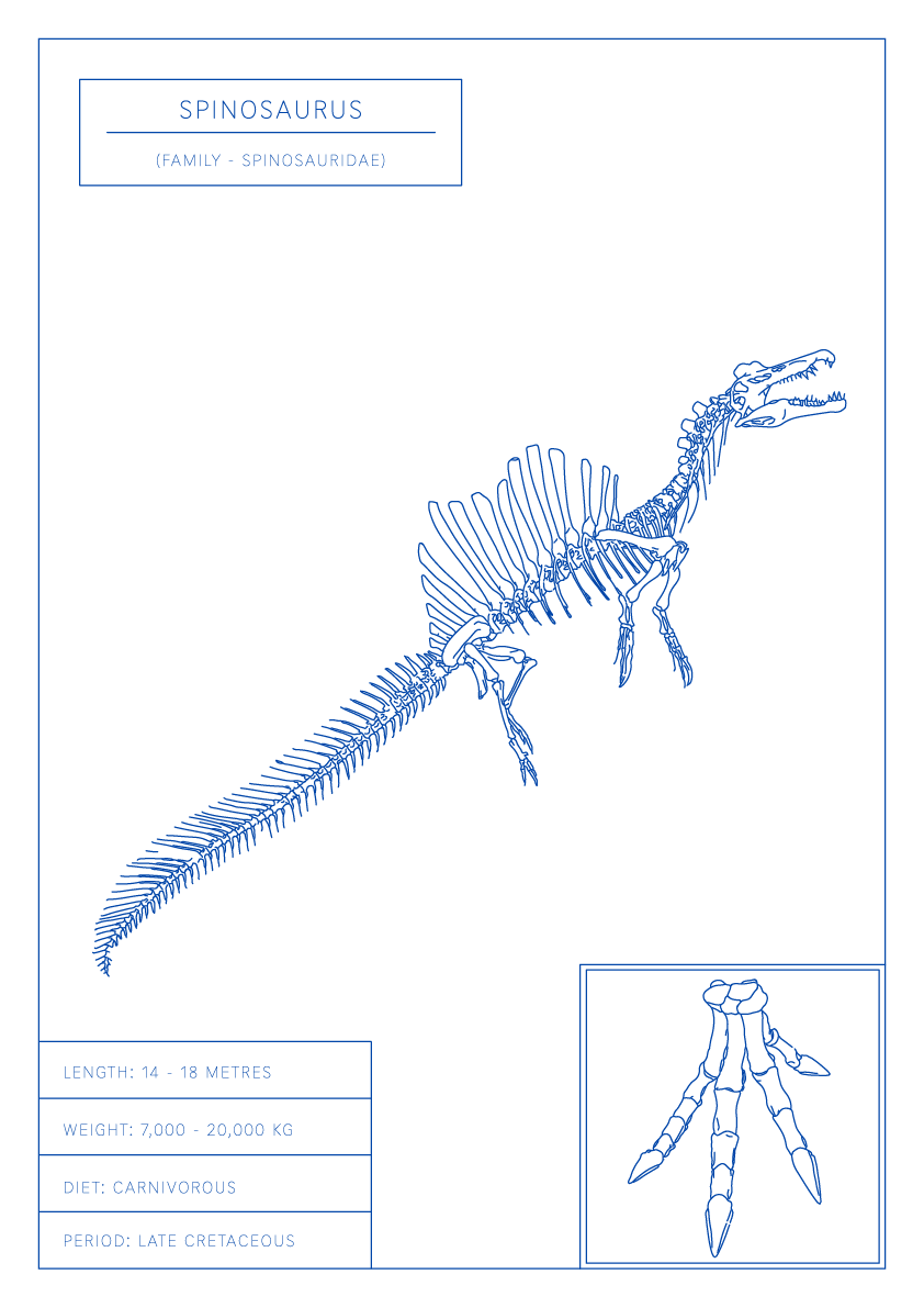Spinosaurus | Dinosaur Wall Art