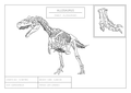Allosaurus | Dinosaur Wall Art