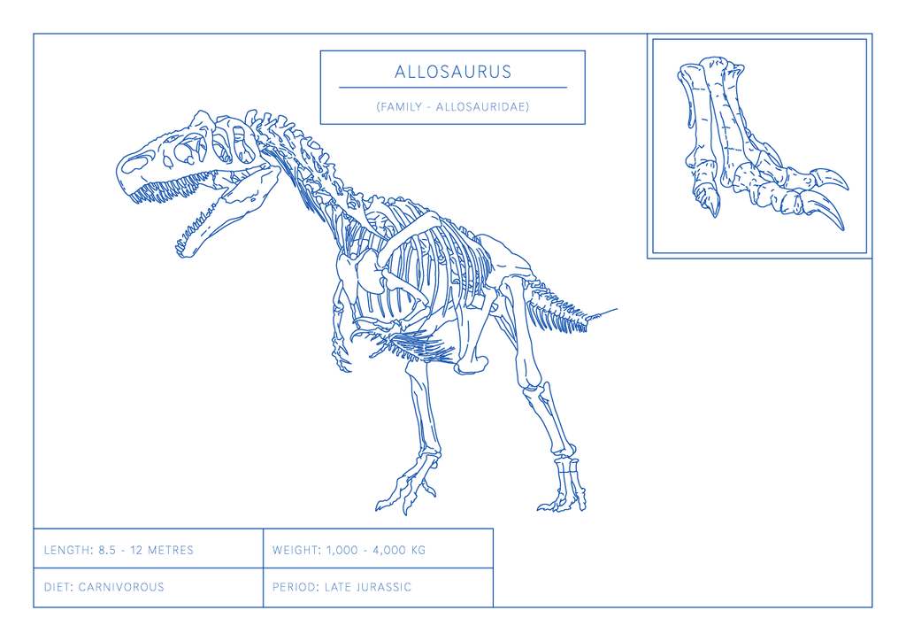 Allosaurus | Dinosaur Wall Art