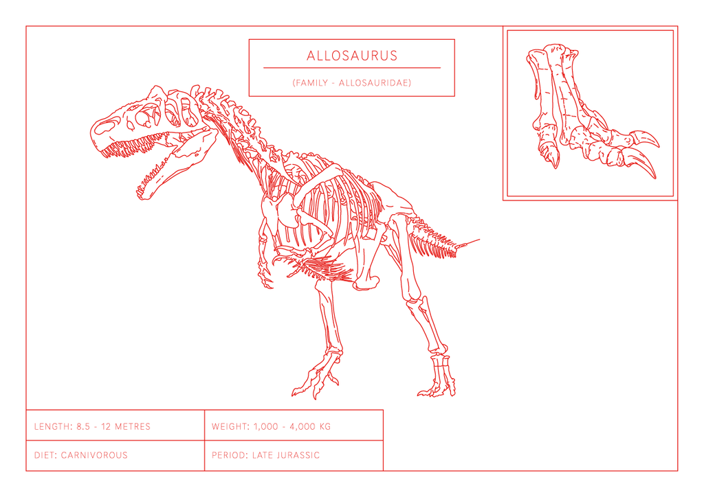Allosaurus | Dinosaur Wall Art