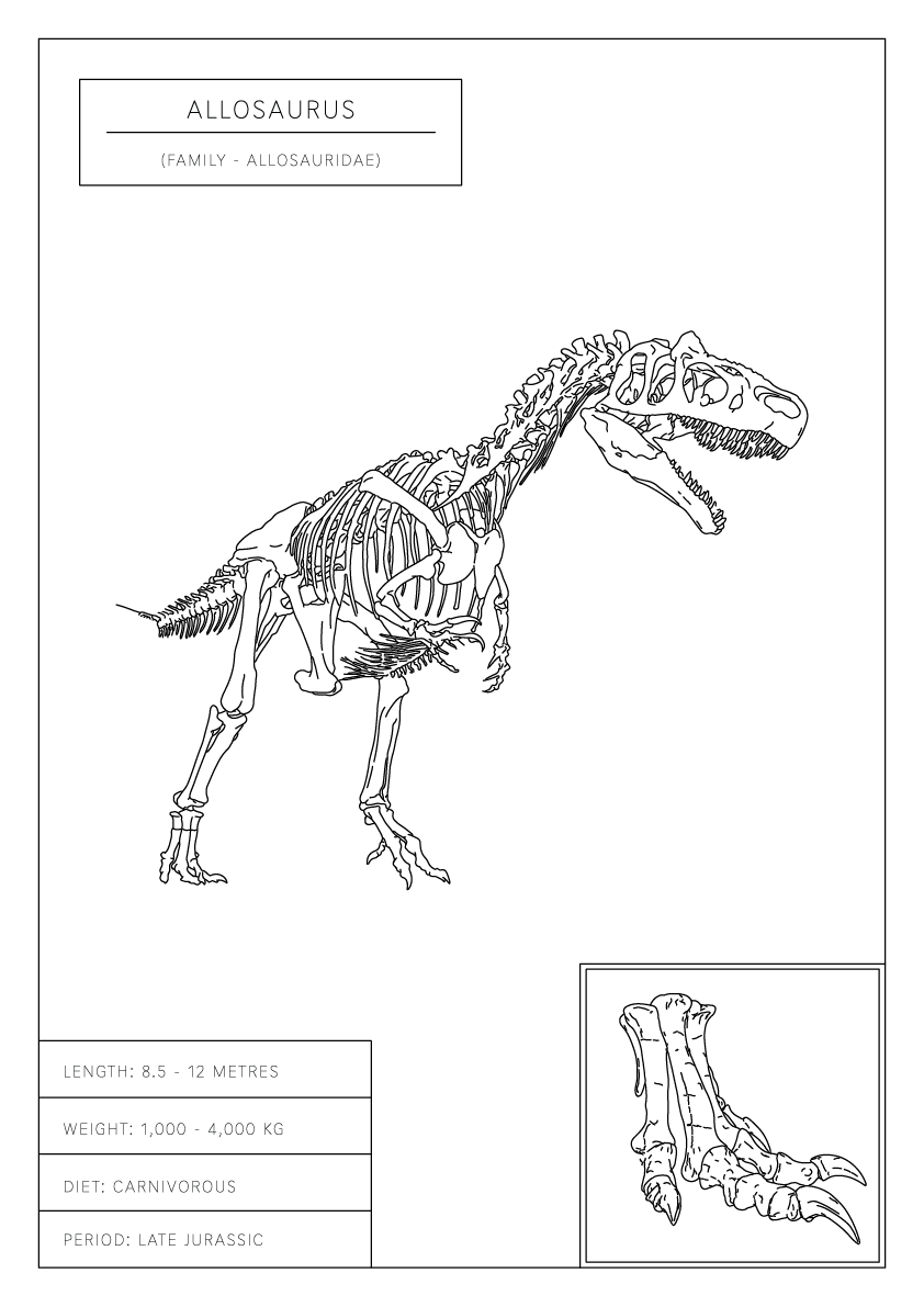 Allosaurus | Dinosaur Wall Art