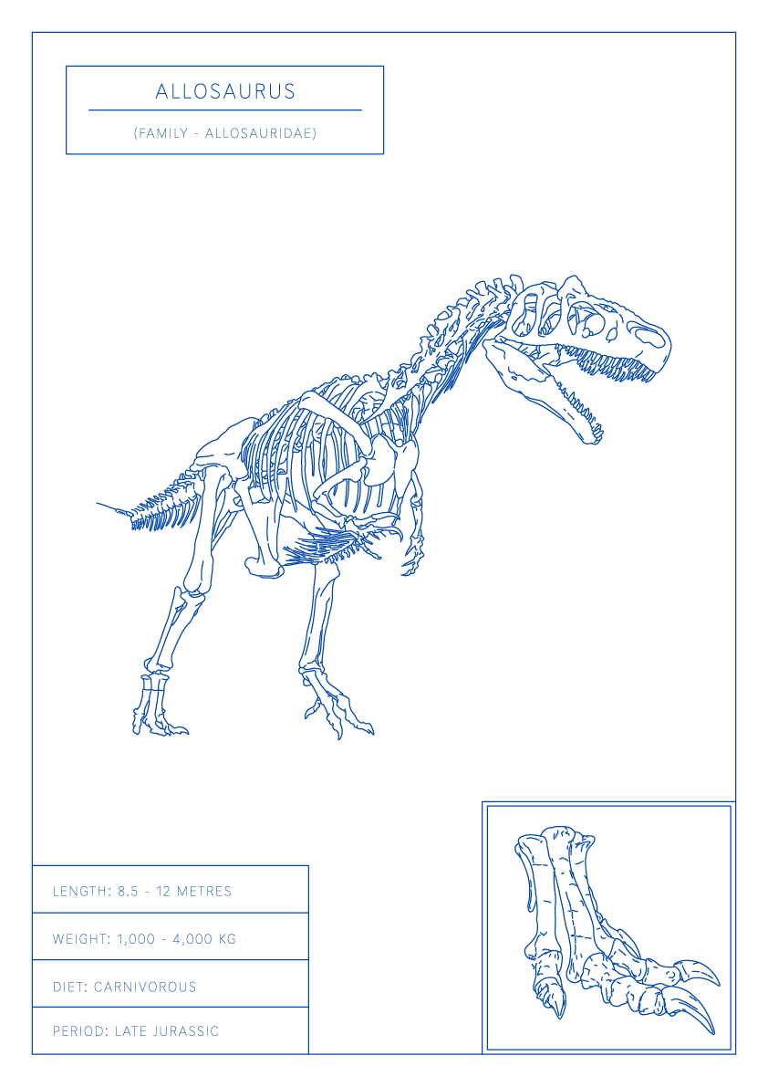 Allosaurus | Dinosaur Wall Art