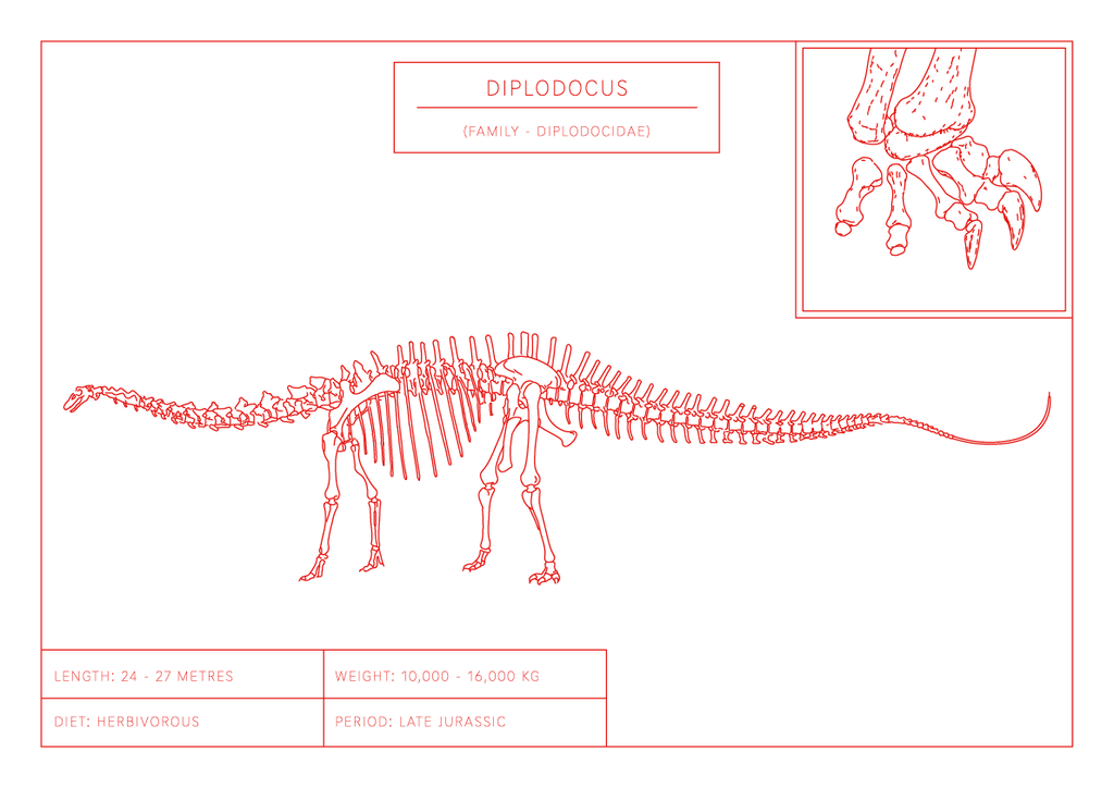 Diplodocus | Dinosaur Wall Art