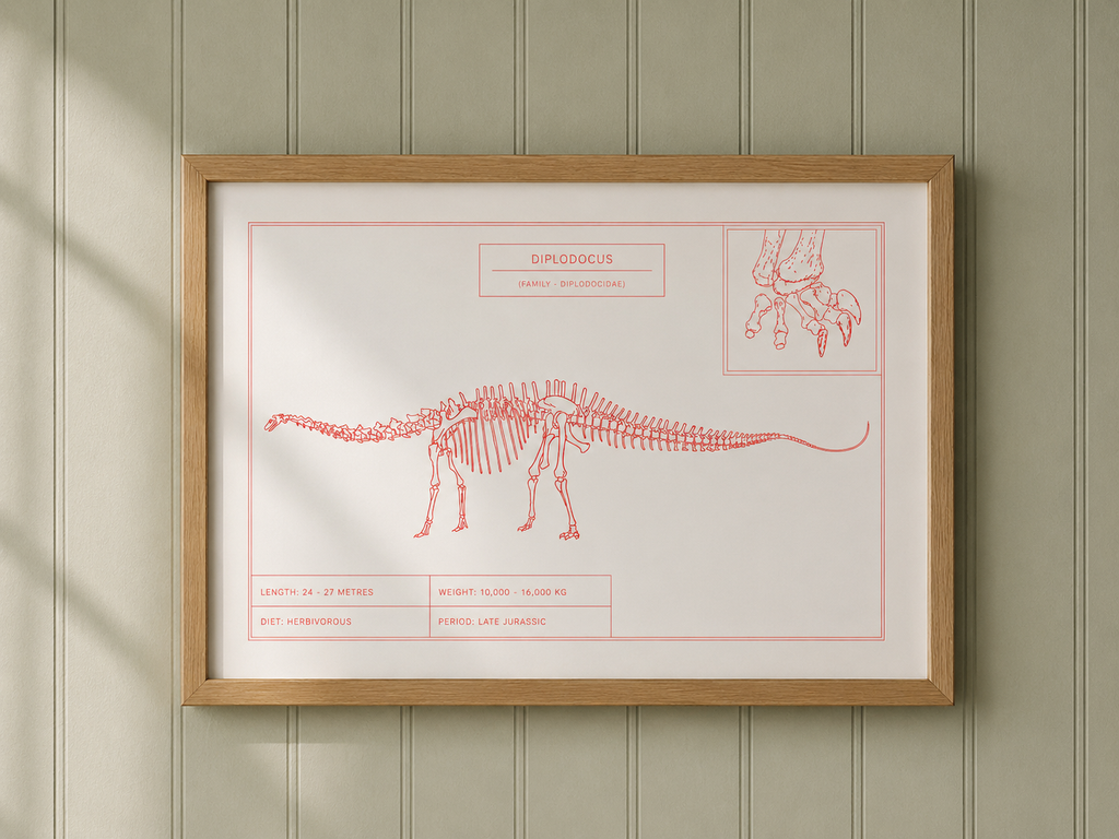 Diplodocus | Dinosaur Wall Art