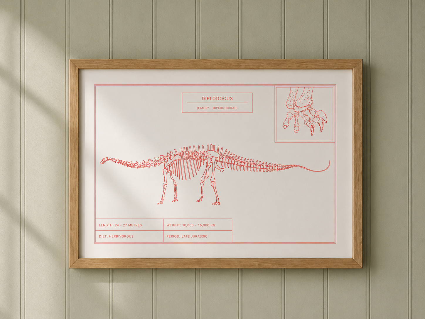 Diplodocus | Dinosaur Wall Art