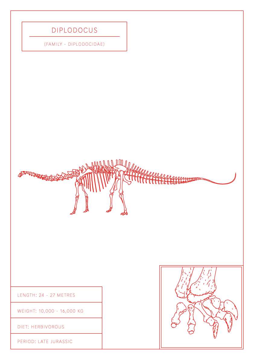 Diplodocus | Dinosaur Wall Art