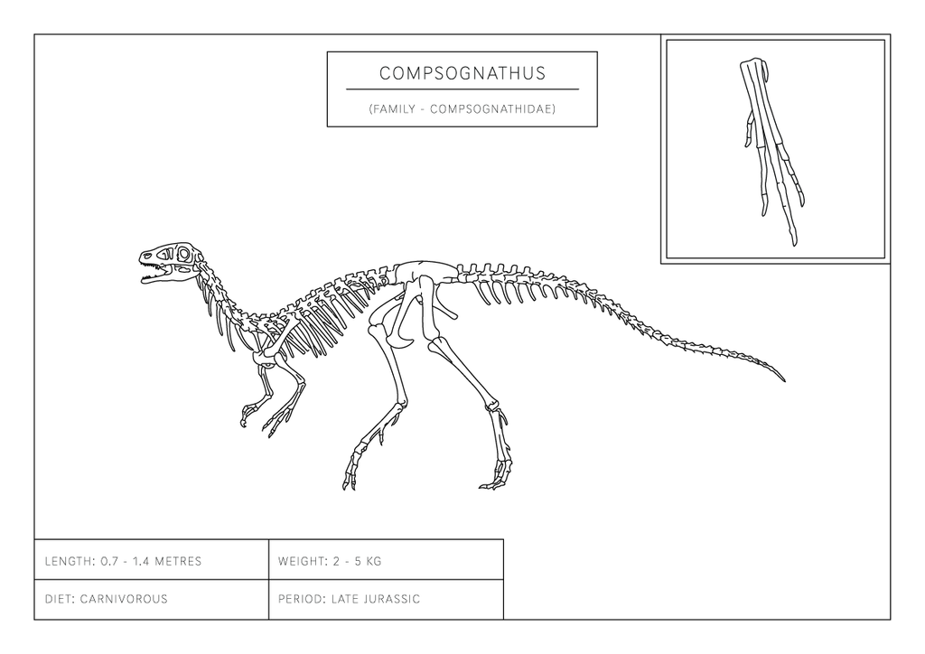 Compsognathus | Dinosaur Wall Art