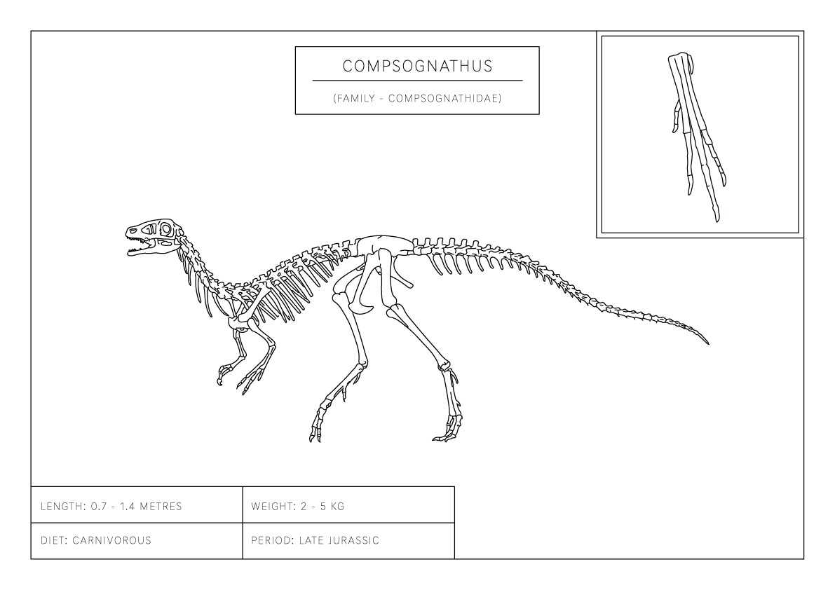 Compsognathus | Dinosaur Wall Art