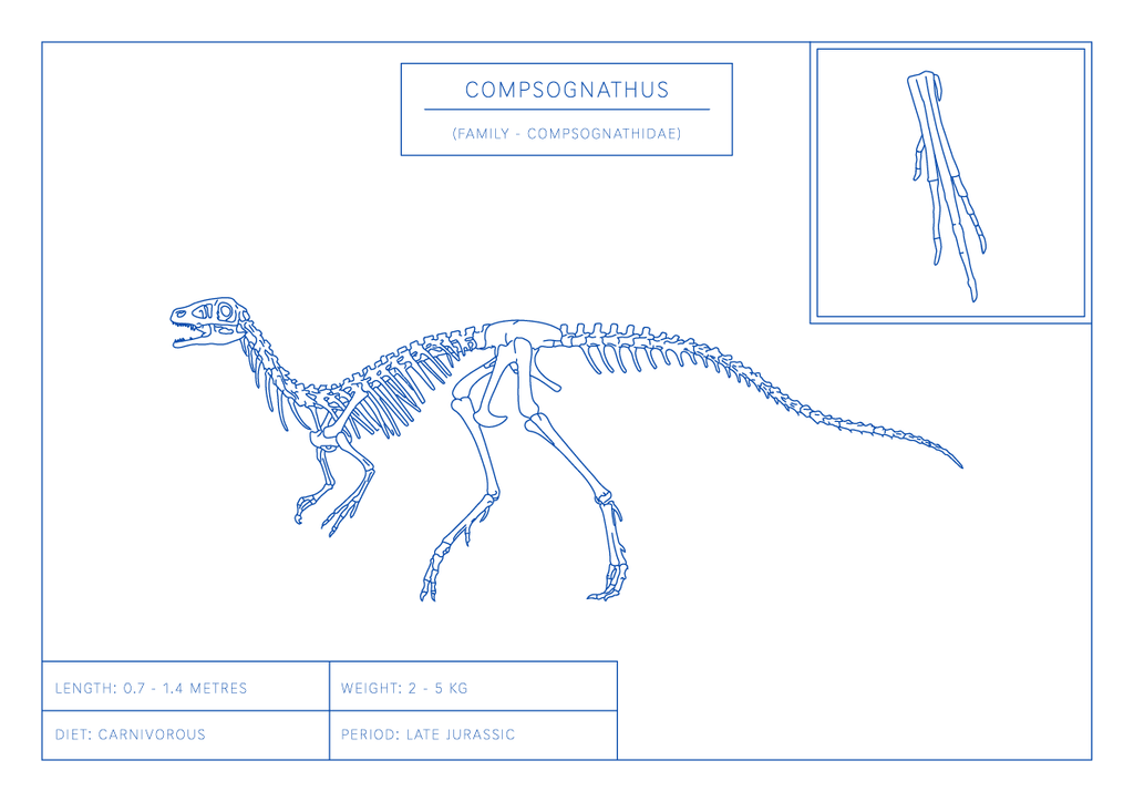 Compsognathus | Dinosaur Wall Art