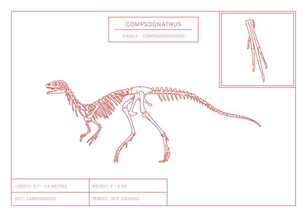 Compsognathus | Dinosaur Wall Art