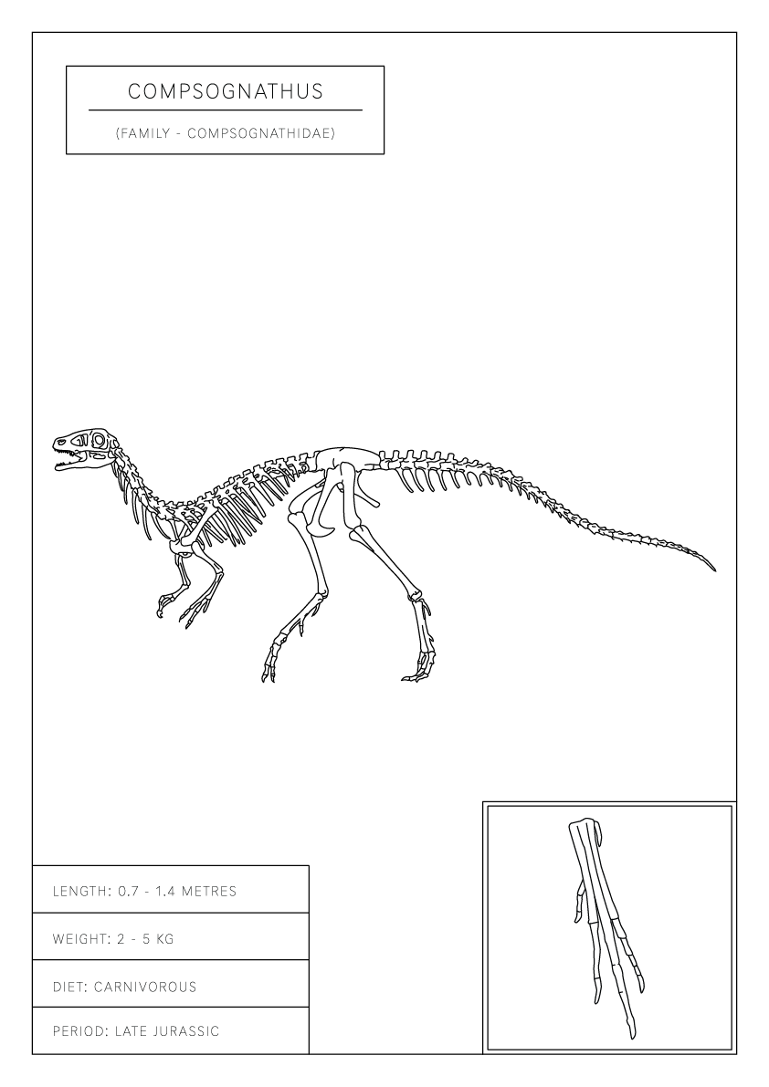 Compsognathus | Dinosaur Wall Art