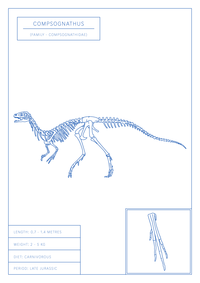 Compsognathus | Dinosaur Wall Art