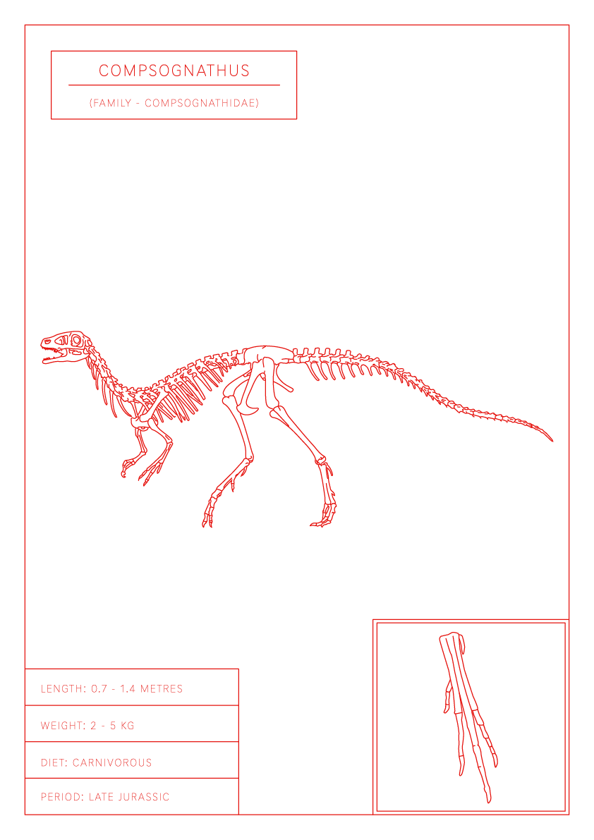 Compsognathus | Dinosaur Wall Art