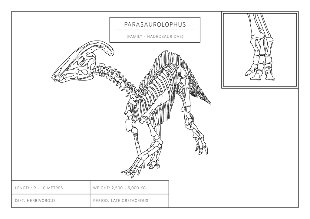 Parasaurolophus | Dinosaur Wall Art